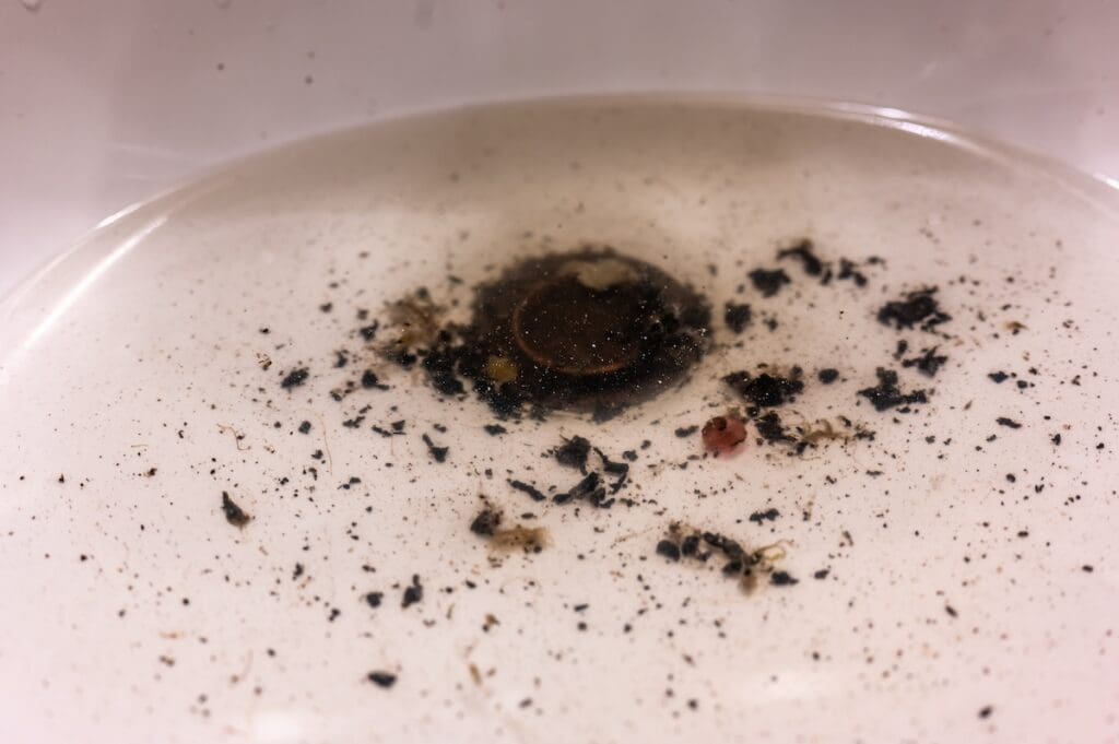 Rotten Egg Smell in House Basement Smells Like Rotten Eggs